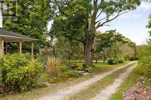 2378 Old Second Road N, Springwater, ON 