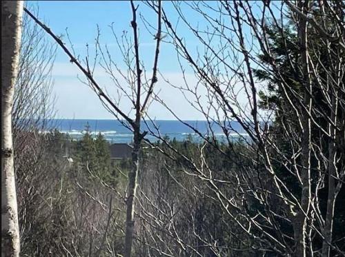 Lot 12 Saddle Island Road, Bayswater, NS 