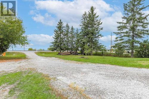 3880 Highway 35, Kawartha Lakes, ON - Outdoor With View