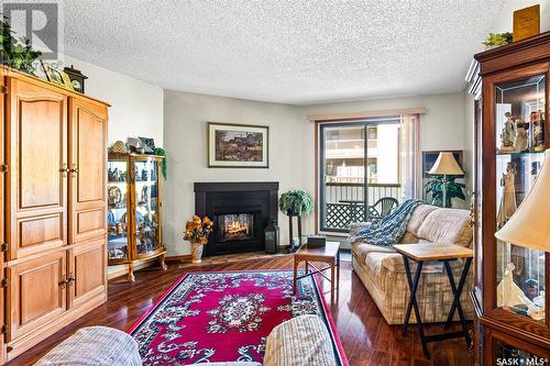 206 55 Wood Lily Drive, Moose Jaw, SK - Indoor Photo Showing Living Room With Fireplace