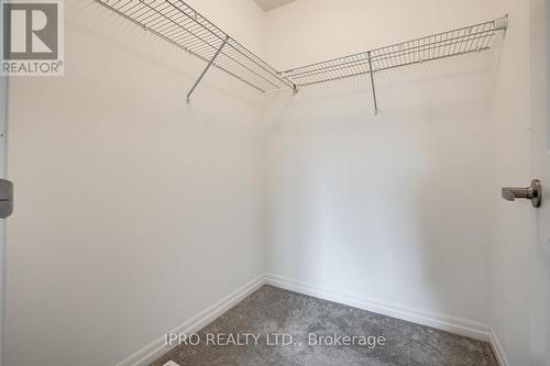 11 Shedrow Place, Kitchener, ON - Indoor With Storage