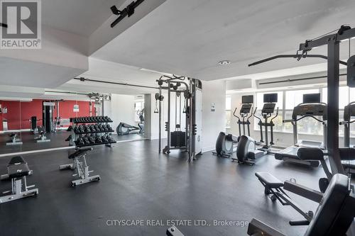 1704 - 55 East Liberty Street, Toronto, ON - Indoor Photo Showing Gym Room