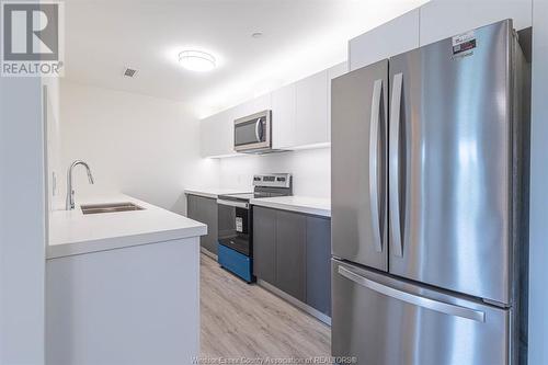 3370 Stella Unit# 230, Windsor, ON - Indoor Photo Showing Kitchen With Double Sink With Upgraded Kitchen