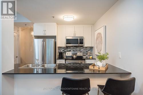 501 - 1421 Costigan Road, Milton, ON - Indoor Photo Showing Kitchen