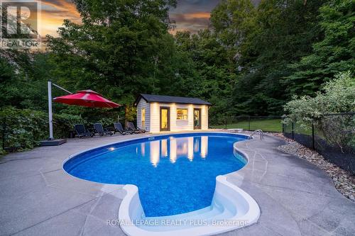 11753 Trafalgar Road, Halton Hills, ON - Outdoor With In Ground Pool With Backyard