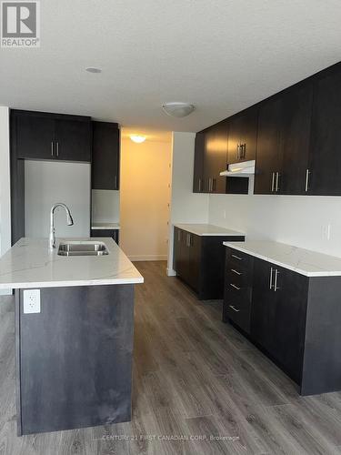 99 Queensbrook Crescent, Cambridge, ON - Indoor Photo Showing Kitchen With Double Sink