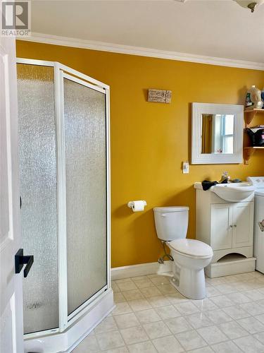 491 Water Street, Bay Roberts, NL - Indoor Photo Showing Bathroom