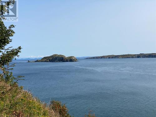 491 Water Street, Bay Roberts, NL - Outdoor With Body Of Water With View