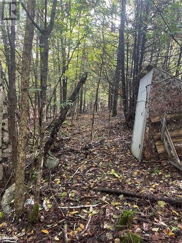 Lot 67 Chelsea Lane, Algonquin Highlands, ON 