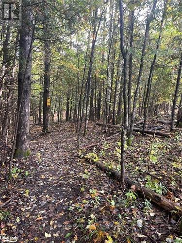 Lot 67 Chelsea Lane, Algonquin Highlands, ON 