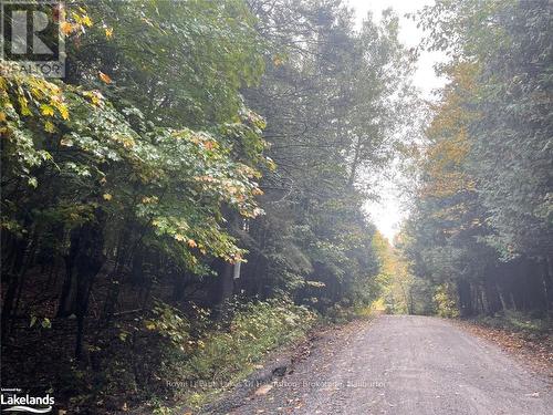 Lot 67 Chelsea Lane, Algonquin Highlands, ON 