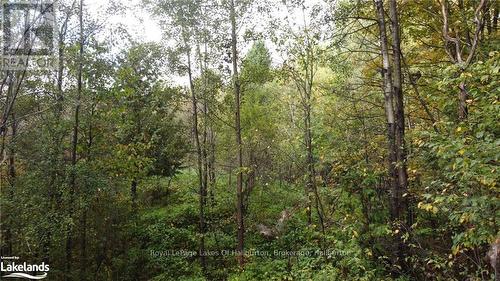 Lot 67 Chelsea Lane, Algonquin Highlands, ON 