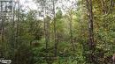 Lot 67 Chelsea Lane, Algonquin Highlands, ON 