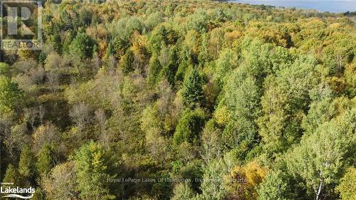 Lot 67 Chelsea Lane, Algonquin Highlands, ON 