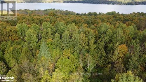 Lot 67 Chelsea Lane, Algonquin Highlands, ON 