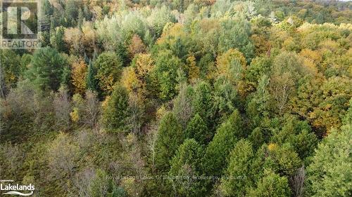 Lot 67 Chelsea Lane, Algonquin Highlands, ON 