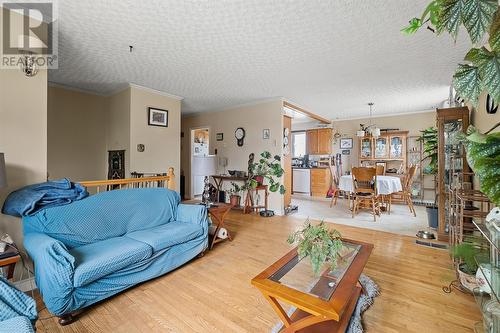 18 Lindbergh Crescent, Mount Pearl, NL - Indoor Photo Showing Living Room