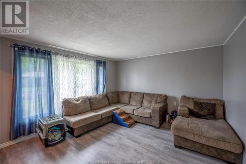 313 Pickering Drive, Amherstburg, ON - Indoor Photo Showing Living Room