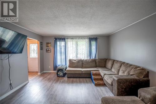 313 Pickering Drive, Amherstburg, ON - Indoor Photo Showing Living Room