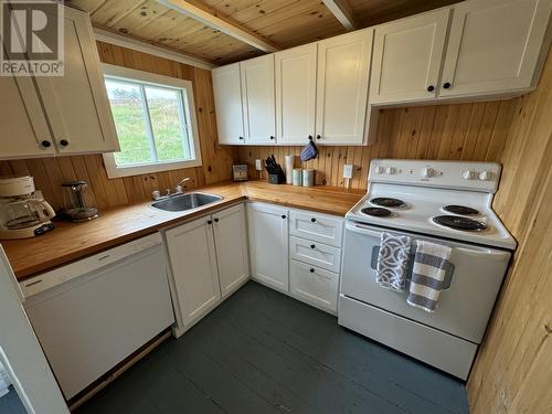 9 Mint Brook Hill, Port Rexton, NL - Indoor Photo Showing Kitchen