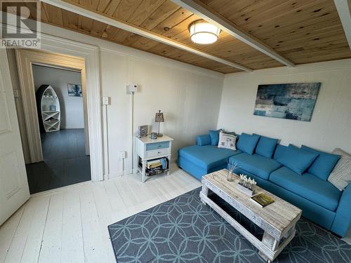 9 Mint Brook Hill, Port Rexton, NL - Indoor Photo Showing Living Room