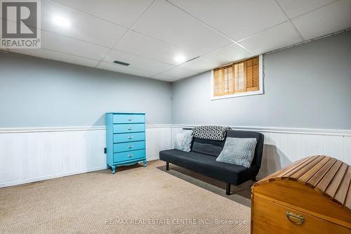 366 George Street, Milton, ON - Indoor Photo Showing Basement