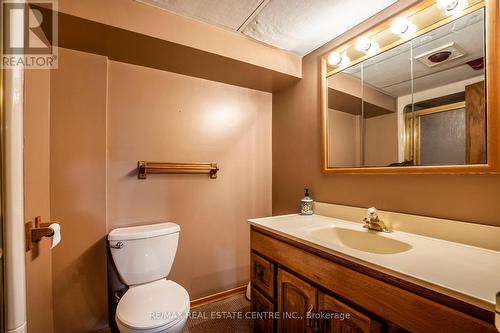 366 George Street, Milton, ON - Indoor Photo Showing Bathroom