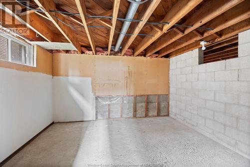 423 Texas, Amherstburg, ON - Indoor Photo Showing Basement