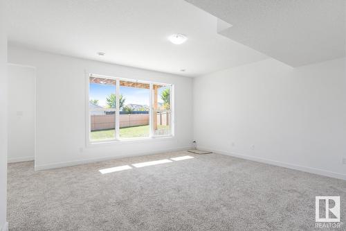 21351 96 Av Nw, Edmonton, AB - Indoor Photo Showing Other Room