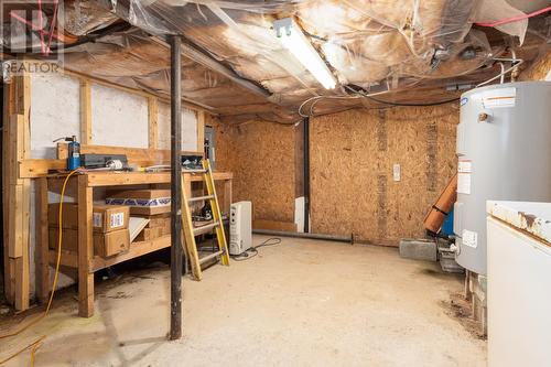 53 Critchs Path, St. John'S, NL - Indoor Photo Showing Basement