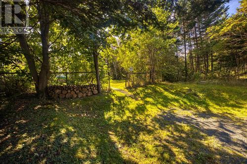 53 Critchs Path, St. John'S, NL - Outdoor