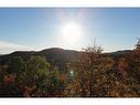 Wooded area - Ch. Des Hauteurs, Sainte-Lucie-Des-Laurentides, QC 