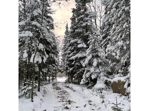 Overall view - Ch. Des Hauteurs, Sainte-Lucie-Des-Laurentides, QC 