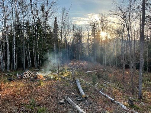 Overall view - Ch. Des Hauteurs, Sainte-Lucie-Des-Laurentides, QC 