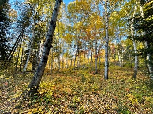 Overall view - Ch. Des Hauteurs, Sainte-Lucie-Des-Laurentides, QC 