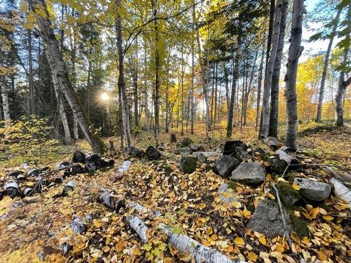 Overall view - Ch. Des Hauteurs, Sainte-Lucie-Des-Laurentides, QC 