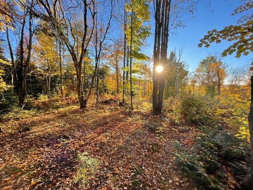 Land/Lot - Ch. Des Hauteurs, Sainte-Lucie-Des-Laurentides, QC 