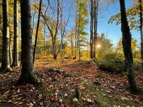 Land/Lot - Ch. Des Hauteurs, Sainte-Lucie-Des-Laurentides, QC 