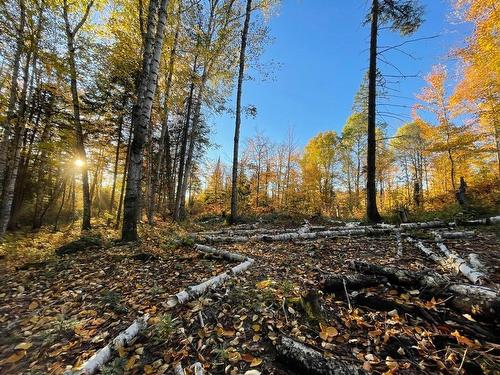 Land/Lot - Ch. Des Hauteurs, Sainte-Lucie-Des-Laurentides, QC 