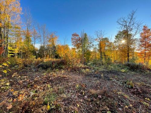 Land/Lot - Ch. Des Hauteurs, Sainte-Lucie-Des-Laurentides, QC 