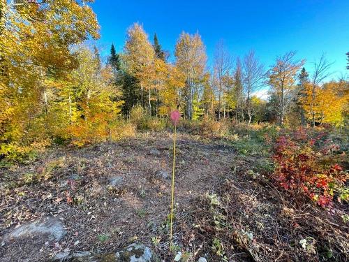 Land/Lot - Ch. Des Hauteurs, Sainte-Lucie-Des-Laurentides, QC 