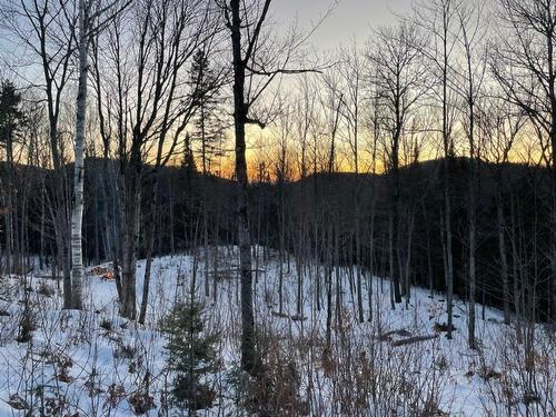 Overall view - Ch. Des Hauteurs, Sainte-Lucie-Des-Laurentides, QC 