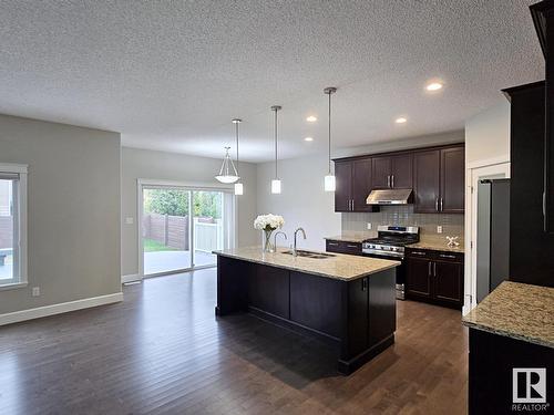 2226 Ware Co Nw, Edmonton, AB - Indoor Photo Showing Kitchen With Upgraded Kitchen