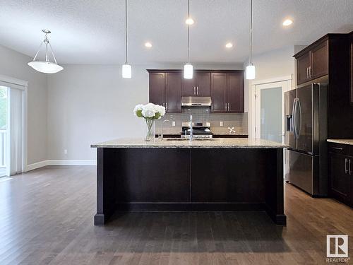 2226 Ware Co Nw, Edmonton, AB - Indoor Photo Showing Kitchen With Upgraded Kitchen