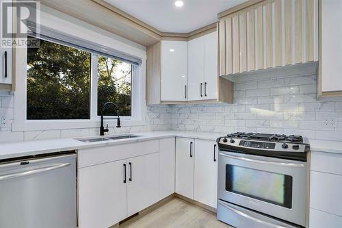 59 Douglas Shore Close Se, Calgary, AB - Indoor Photo Showing Kitchen With Double Sink