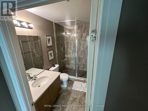 206 - 65 Yorkland Boulevard, Brampton, ON - Indoor Photo Showing Bathroom