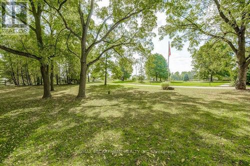 542 Paris Road, Brant, ON - Outdoor With View