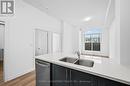 513 - 470 Dundas Street E, Hamilton, ON  - Indoor Photo Showing Kitchen With Double Sink 