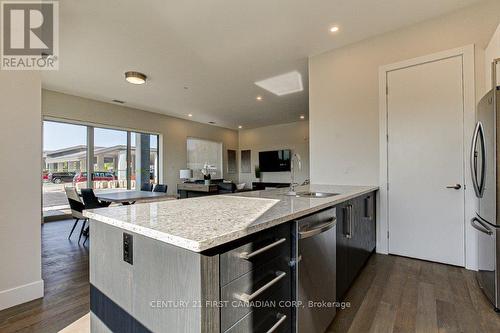 202 - 1696 Fiddlehead Place, London, ON - Indoor Photo Showing Kitchen With Upgraded Kitchen