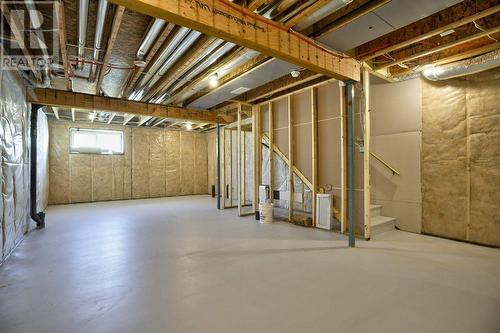 131 Legacy Reach Court Se, Calgary, AB - Indoor Photo Showing Basement